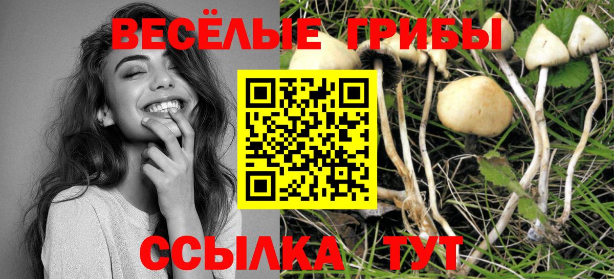 Галлюциногенные грибы ЛСД Туапсе