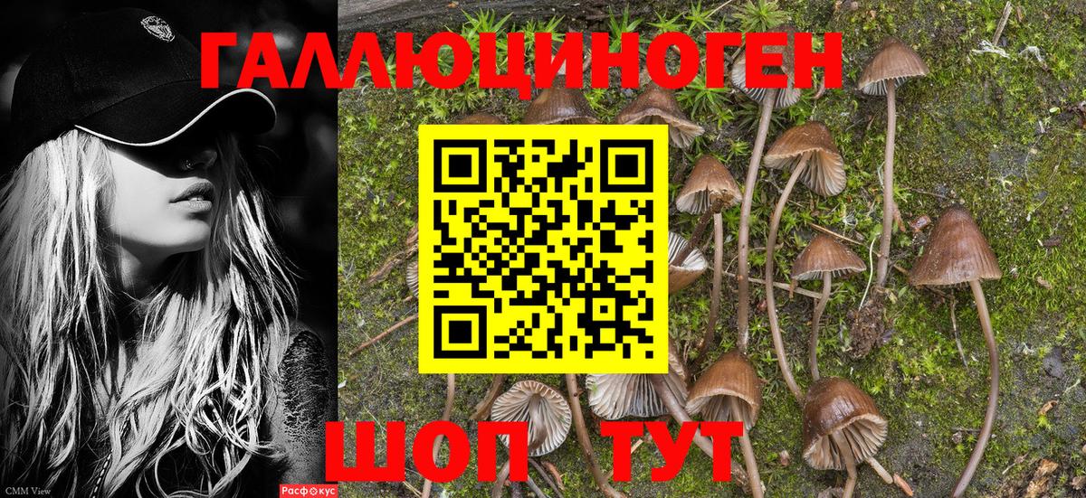 Псилоцибиновые грибы MAGIC MUSHROOMS  Вход с VPN  Туапсе 