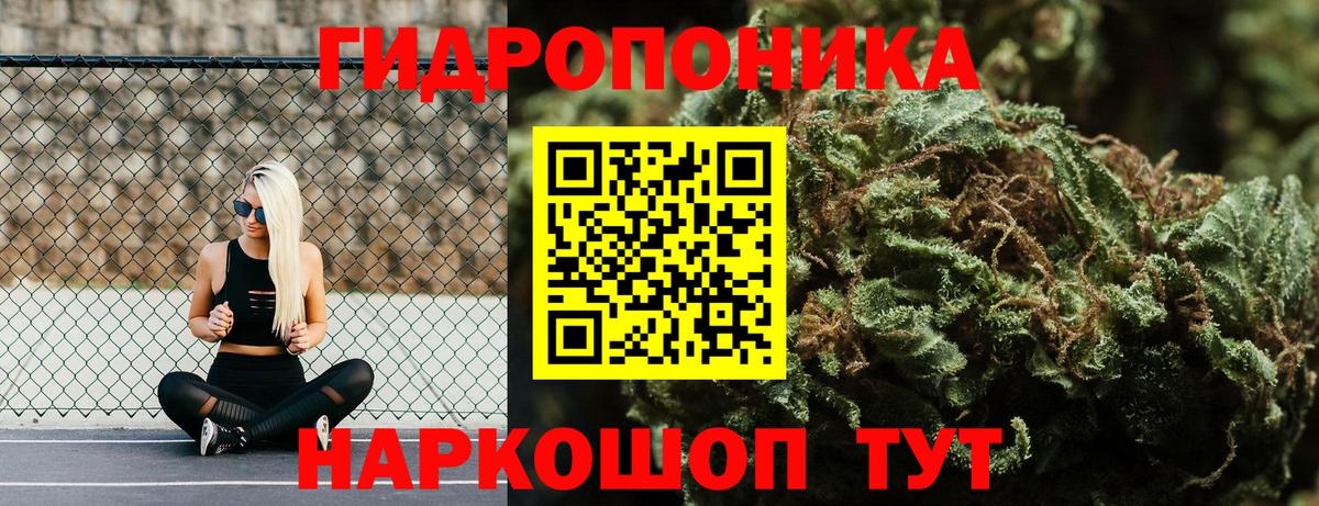 Конопля сатива Туапсе